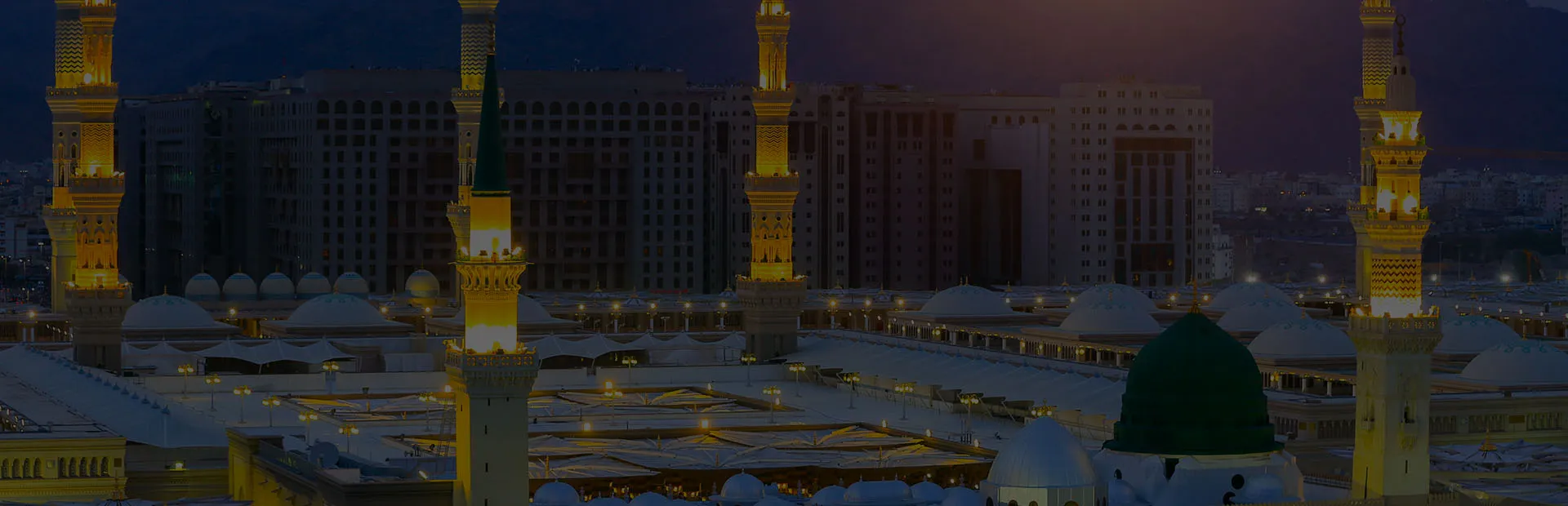banner-image