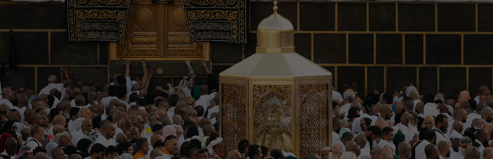 banner-image