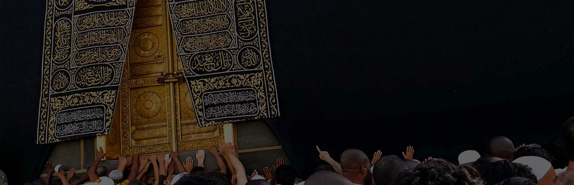 banner-image